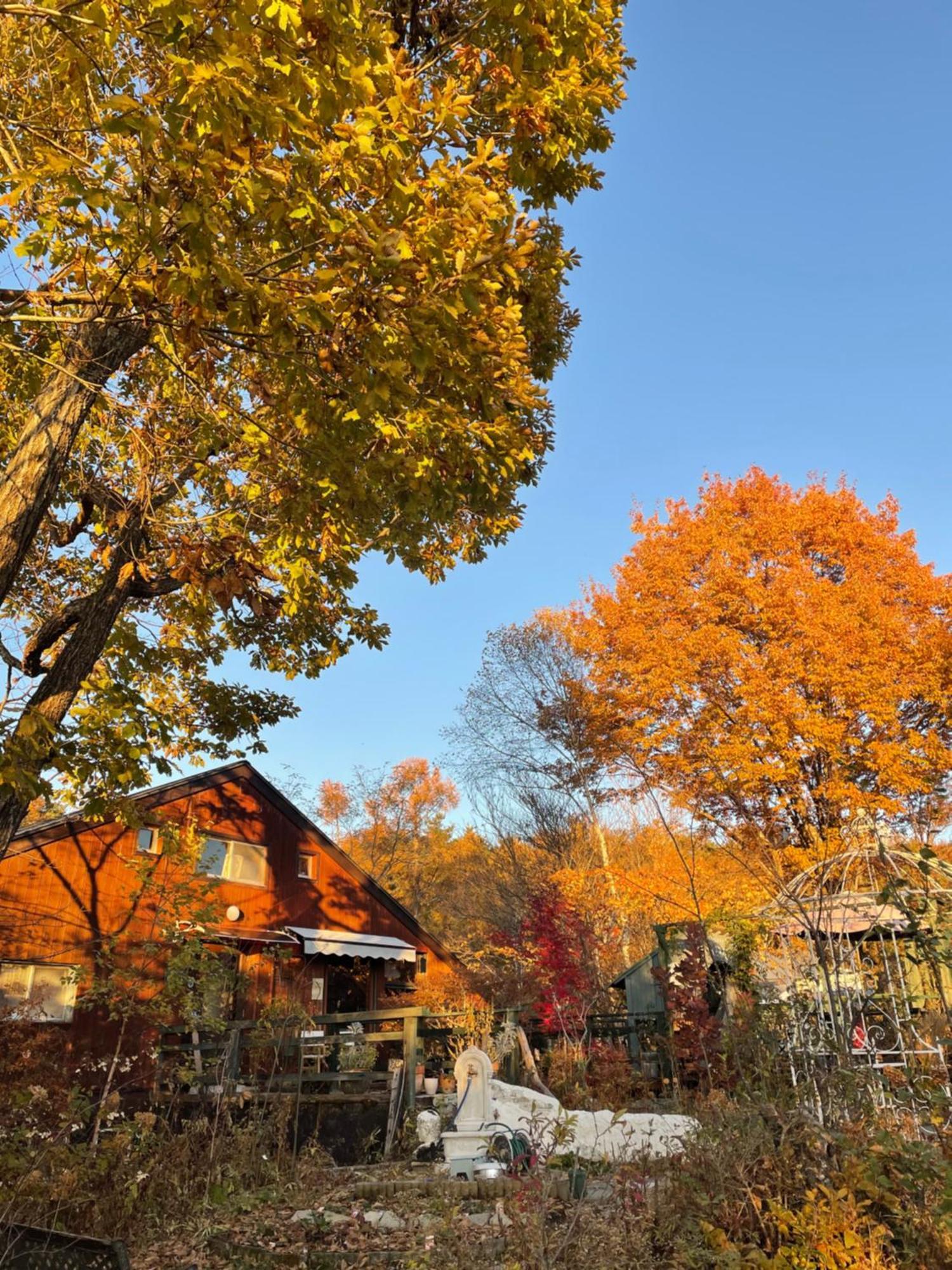 Gallery Hara And Guest House Hara (Nagano) Exterior foto