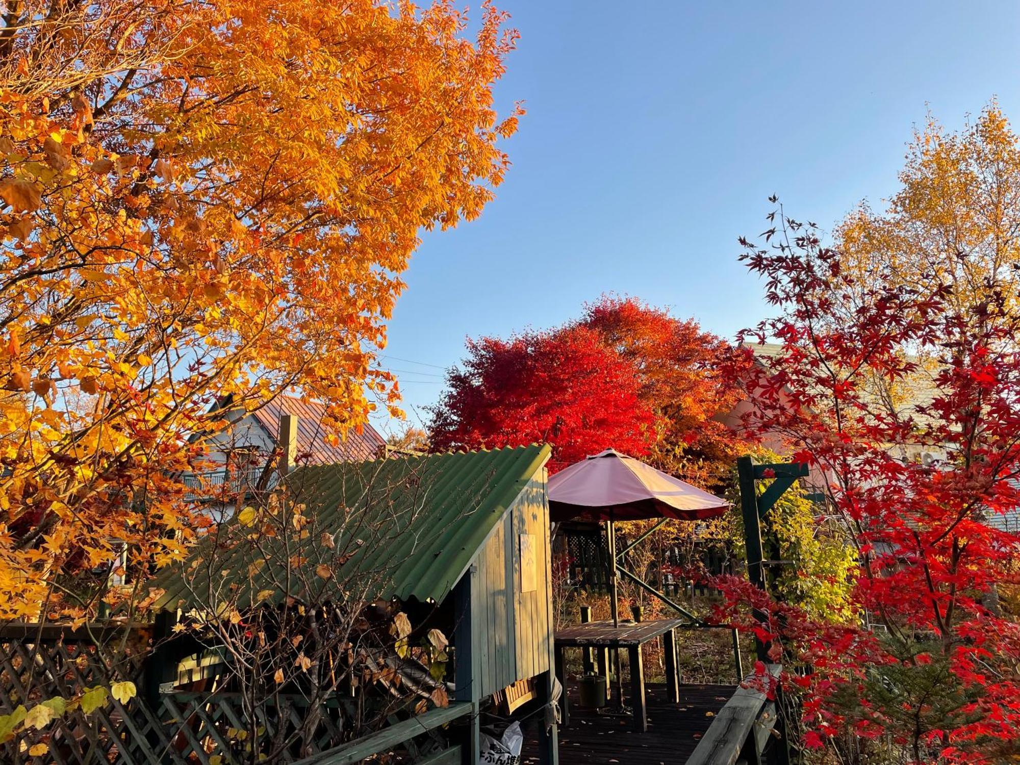 Gallery Hara And Guest House Hara (Nagano) Exterior foto